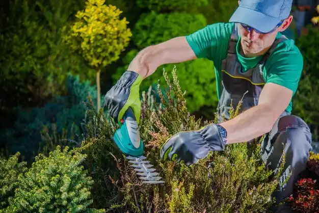 landscaping services Paris